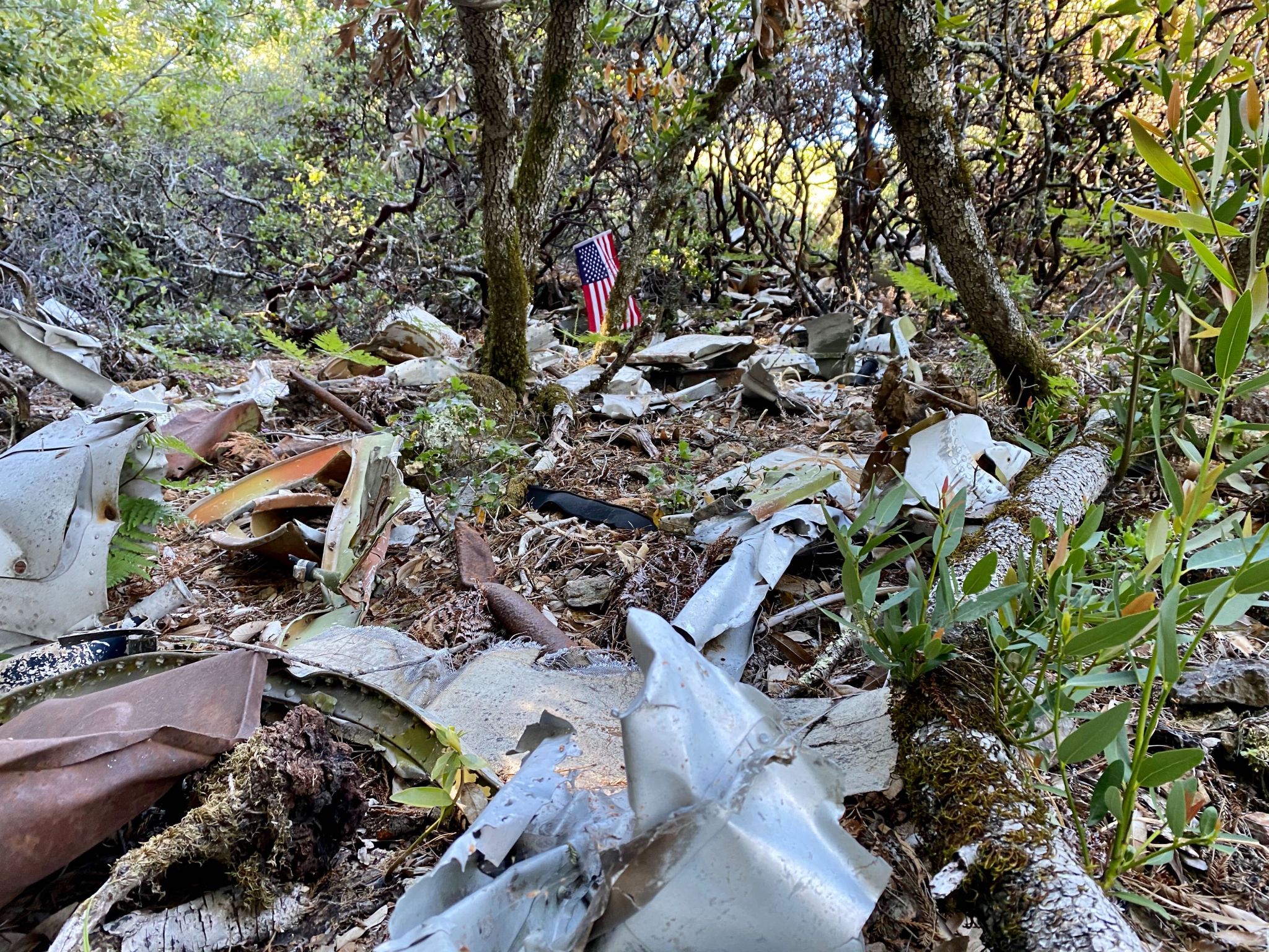 Mt. Tamalpais plane crash site signage, 2017 - Image, Digital