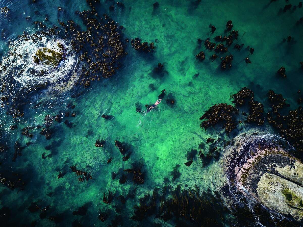 Oscarwinning Netflix documentary 'My Octopus Teacher' is a mesmerizing