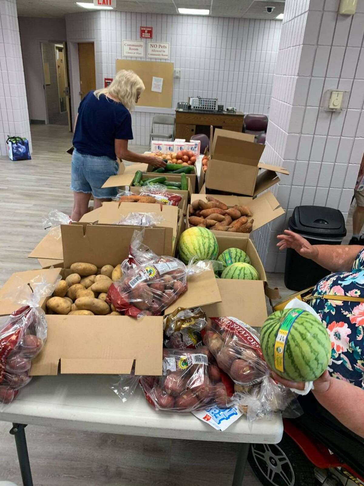 More than 1,600 free food boxes distributed at Torrington event