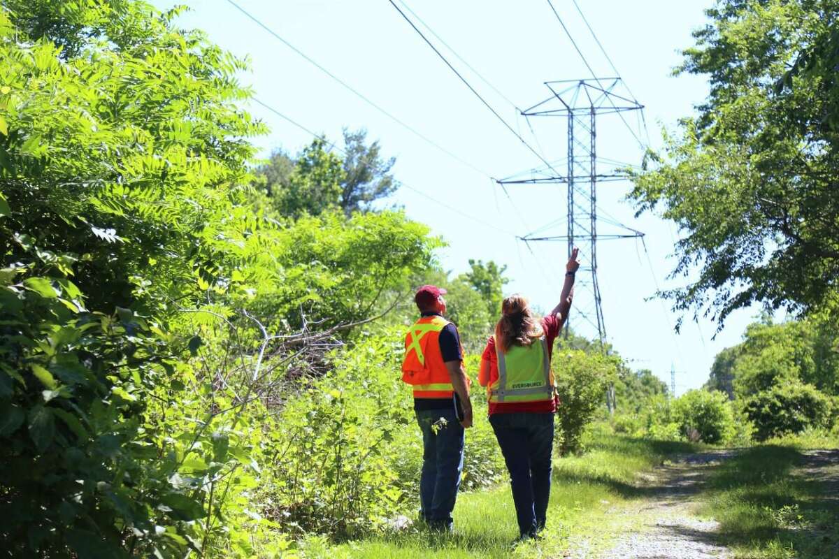 Eversource personnel take a closer look along the power lines running between Little Brook Road and the Metro North rail line.