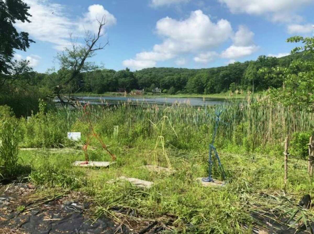 Some members of the Fox Hill Lake Association are shelling out hundreds of dollars to help treat the lake’s overgrowth of marine plants.