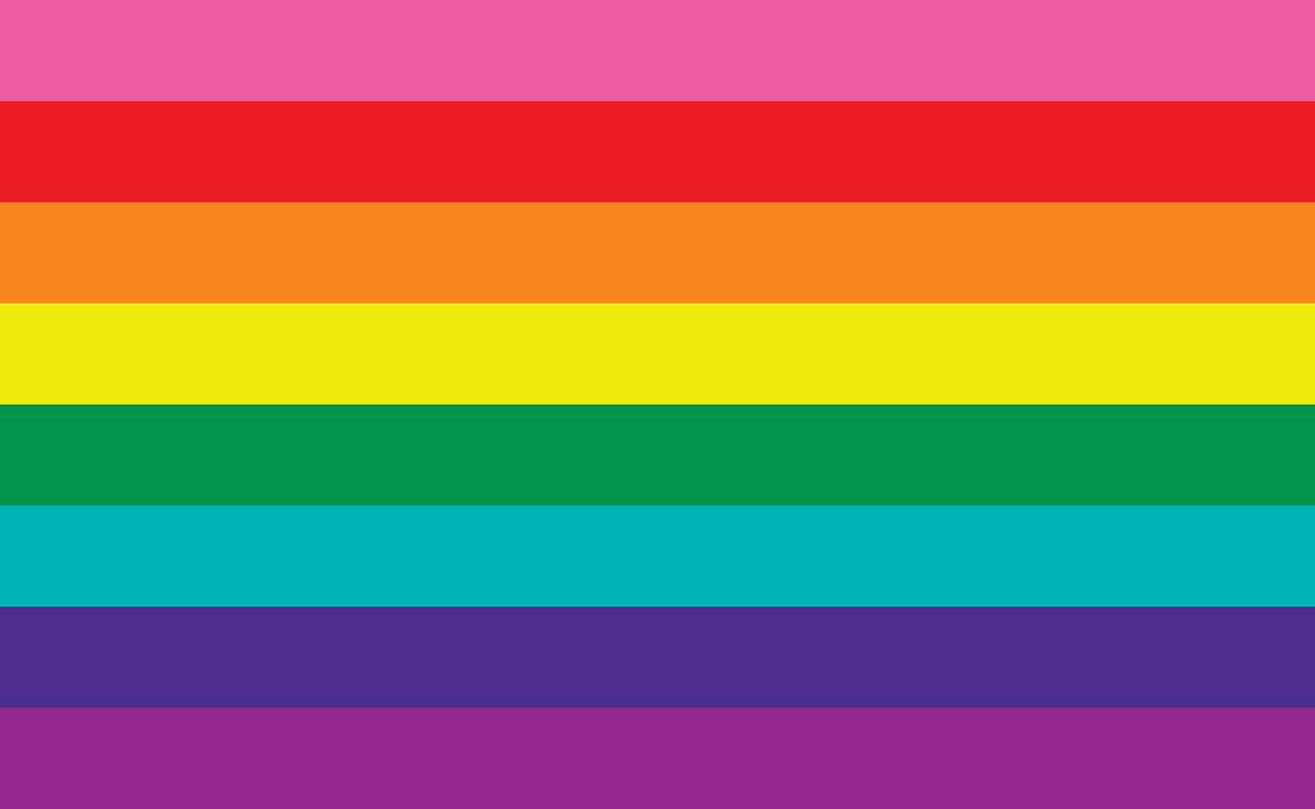 What Do Pride Flags Mean And Look Like