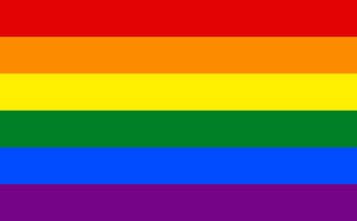 what did the original pride flag look like