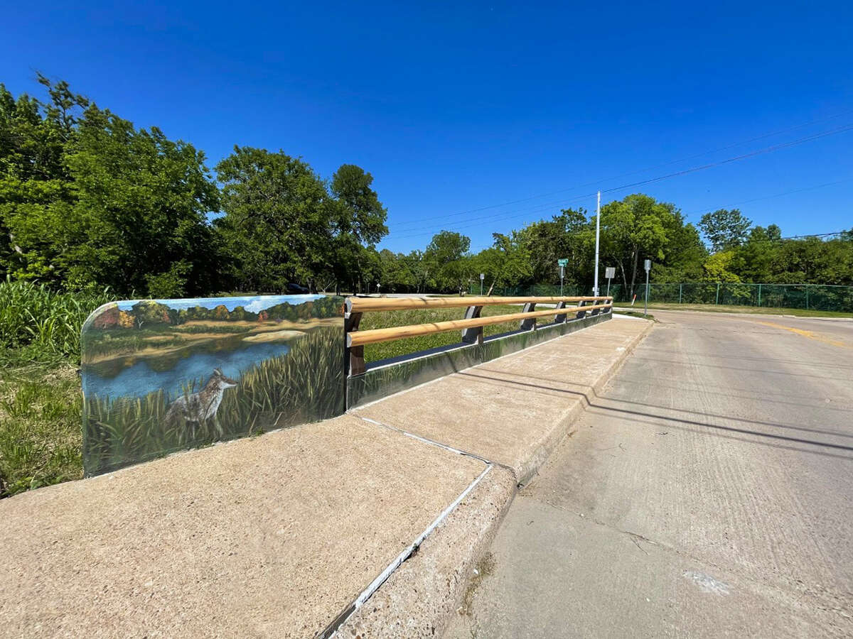 The Deerwood and Riverview bridge mural painted by artist Larry Crawford features nature scenes like this coyote on the banks of the water habitat around Westchase District. The bridge connects traffic into Walnut Bend subdivision. 
