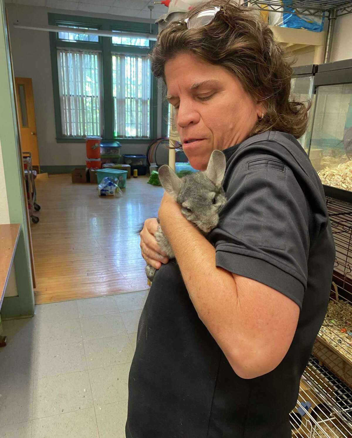 Wendy Joyce, animal control officer for Branford and North Branford, holds Blanche, a chinchilla.