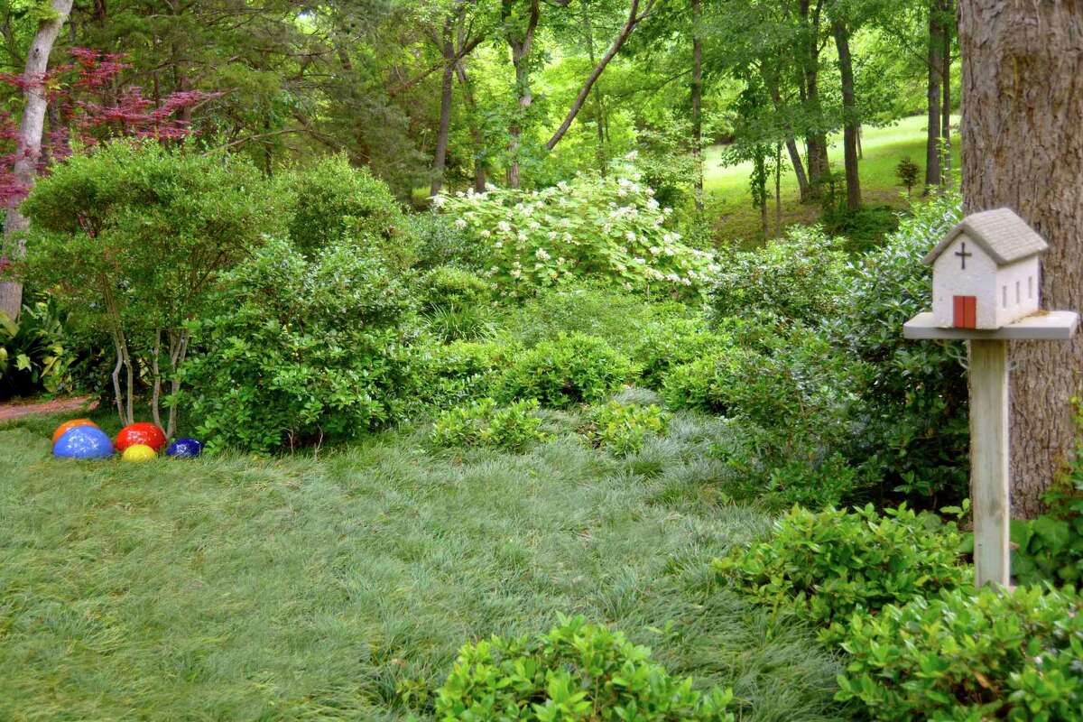 Guide to the best ornamental grasses to plant in San Antonio gardens in