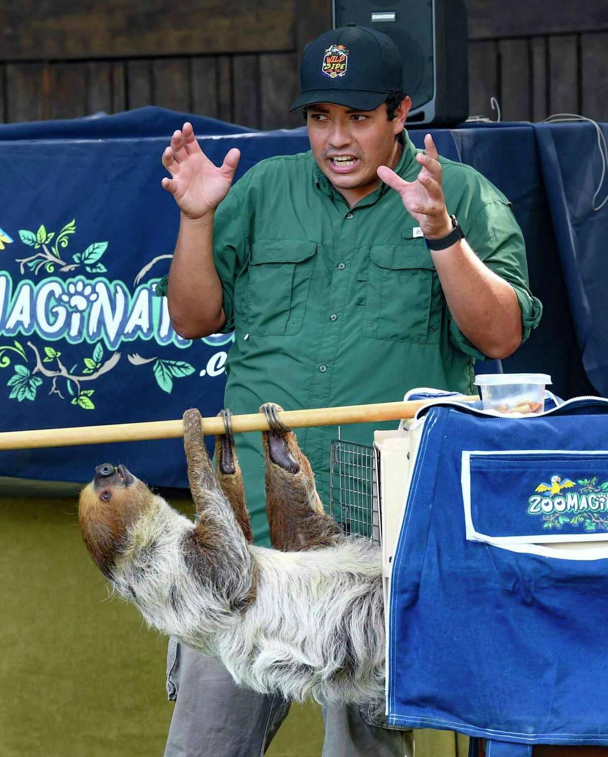 Clay Carabajal explains the behavior of sloths during a show at the Hyatt Hill Country Golf Club on Wednesday, June 9, 2021.