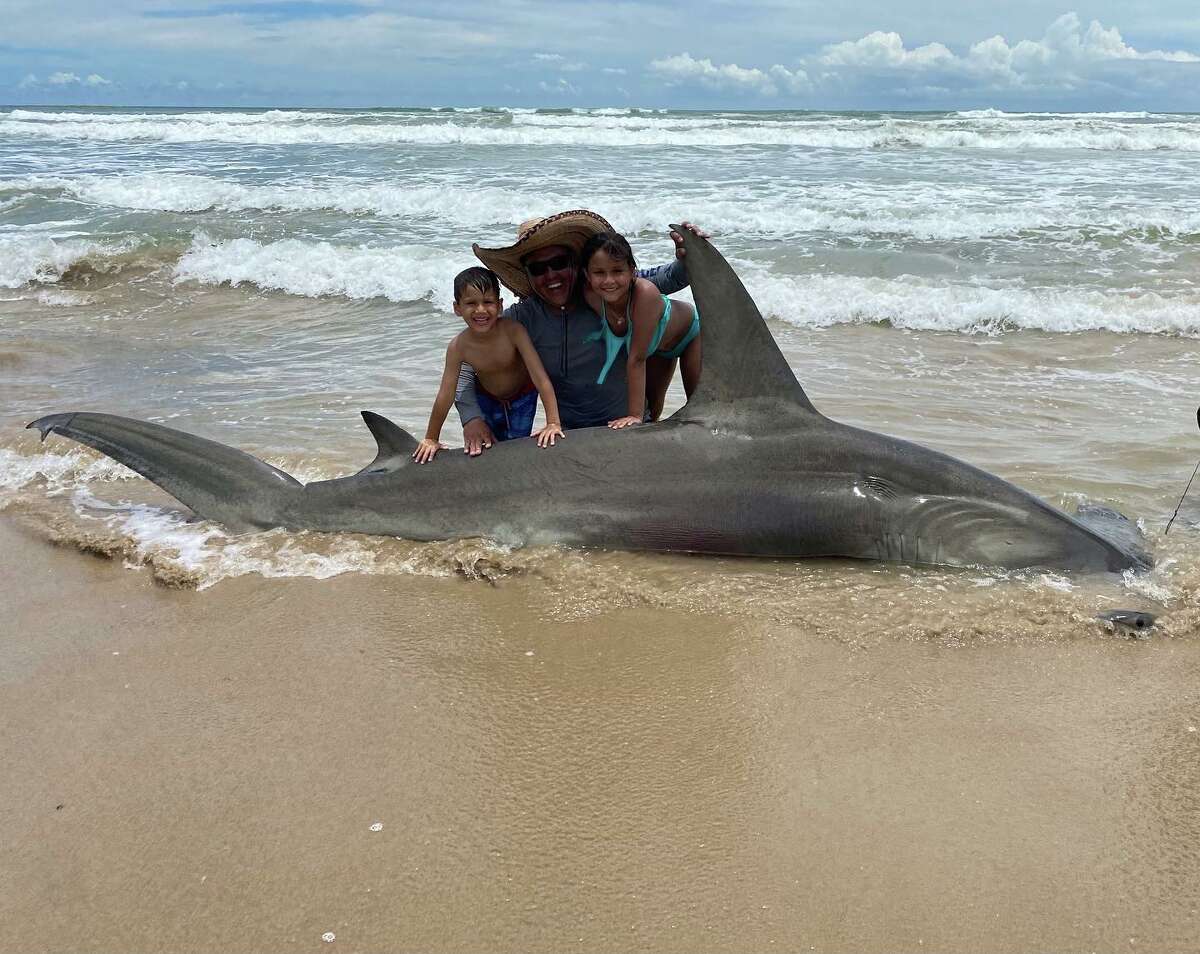 San Antonio man reels in 12foot 'dream' hammerhead shark over Father's