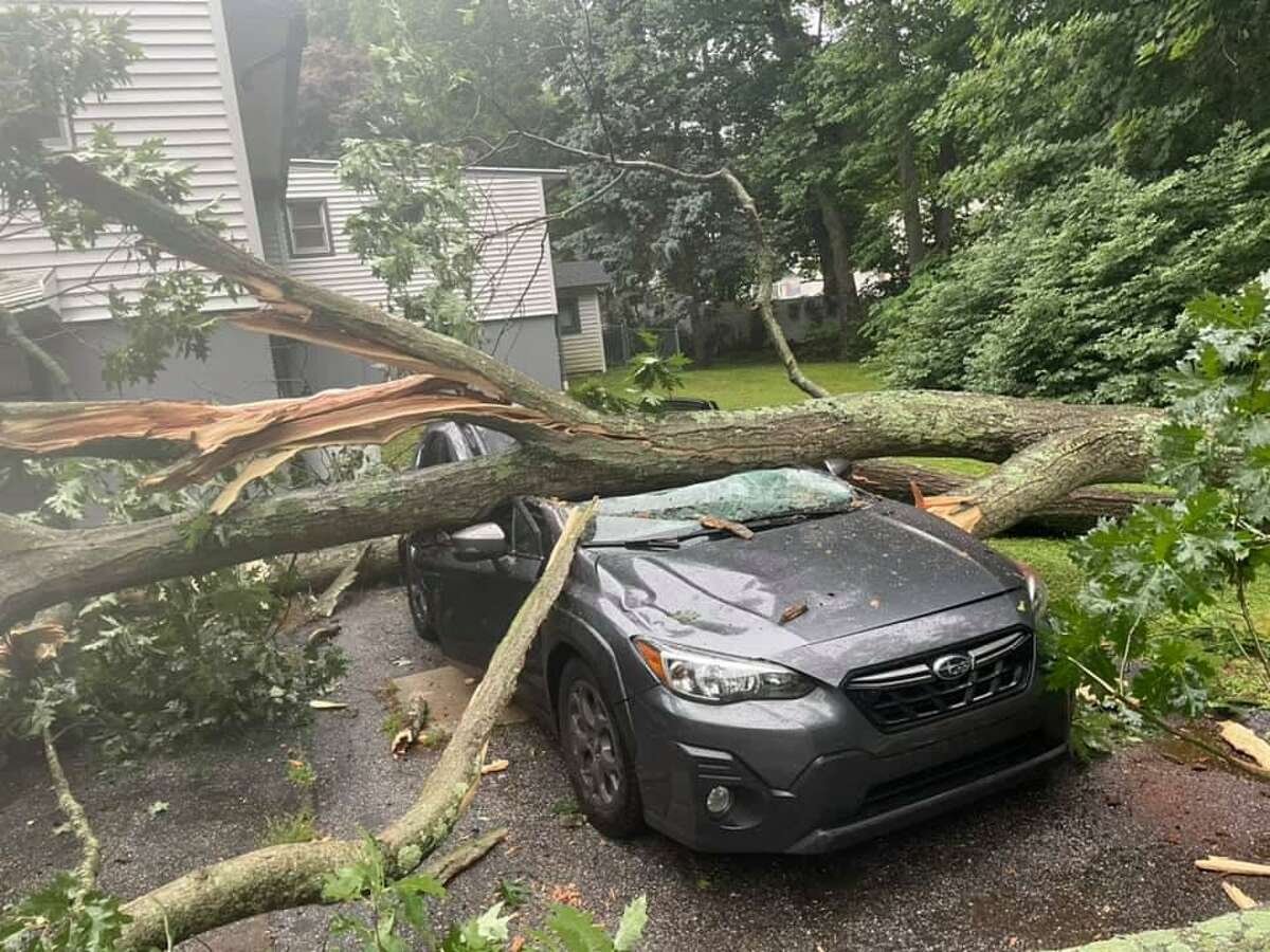 Large tree fell into house, crushed car in Shelton, fire officials say