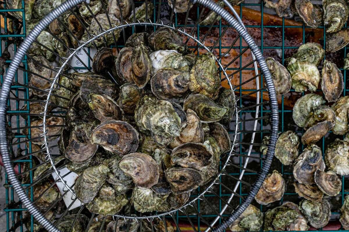 Freshly harvested oysters from Noank Oysters in Noank, Conn., on June 4, 2021.
