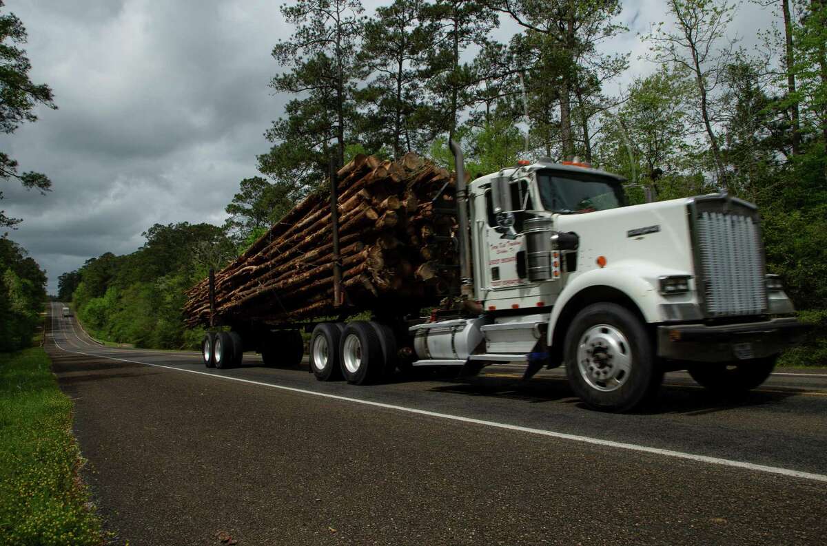 An 18-wheeler transports tree logs on Highway 190 West, on Tuesday, April 6, 2021, in East Texas.