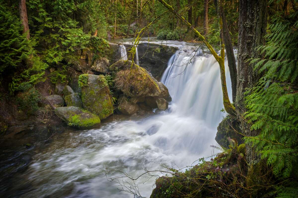 Whatcom Falls Park just on the outskirts of Bellingham, Washington. A Berkeley man and his son died after they were swept down river in a rafting accident on the nearby Nooksack River.