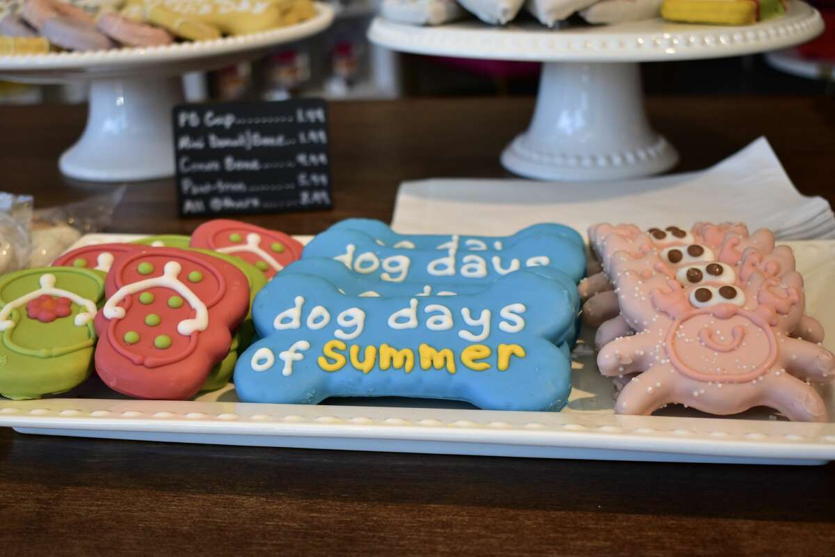 Dog grooming boom Connecticut sees a trend in Instagramfriendly dog