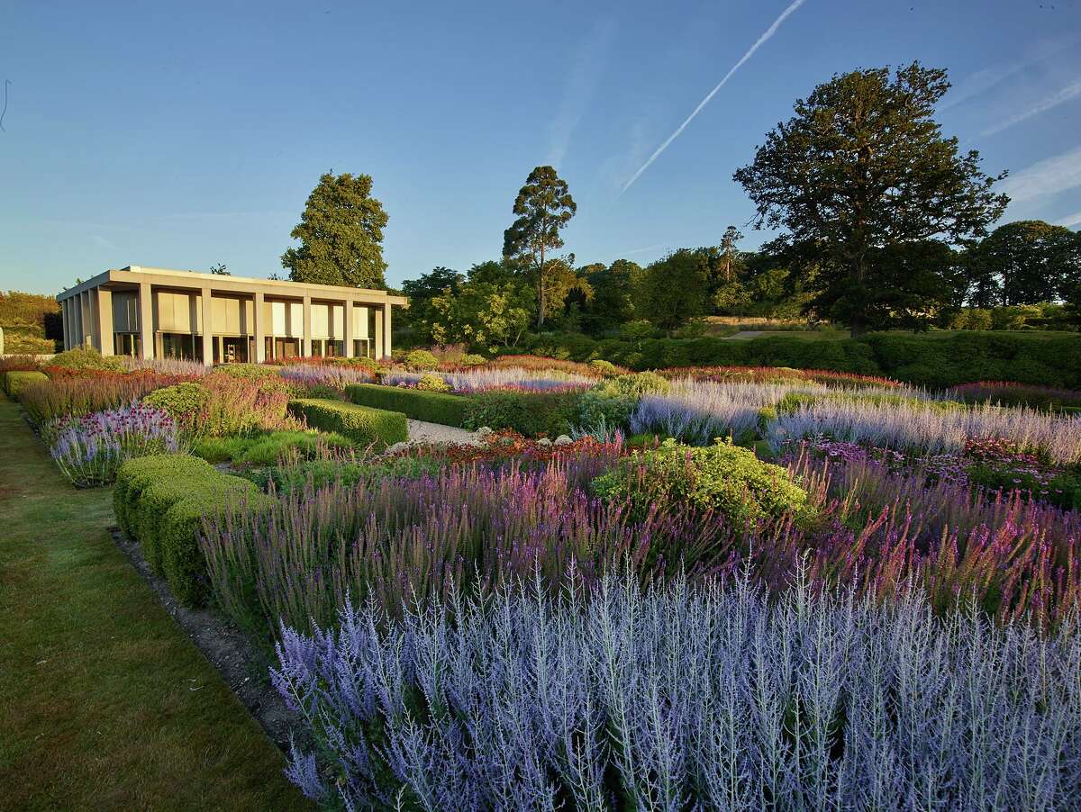 A parterre planting of persicaria, salvia and helenium is a project featured in “Drawn from the Land.”