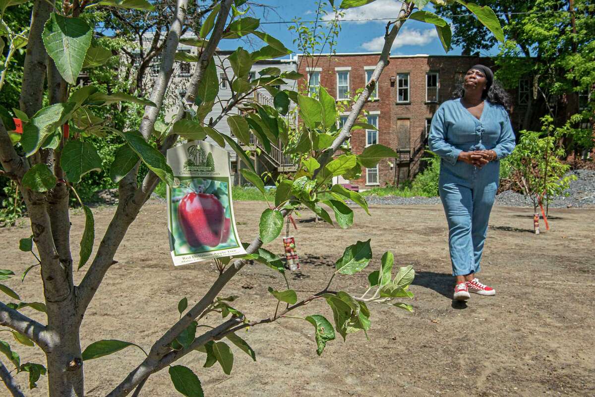 Kizzy Williams walks through her fruit tree orchard she created on Orange Street on Thursday, June 24, 2021 in Albany, N.Y. (Lori Van Buren/Times Union)