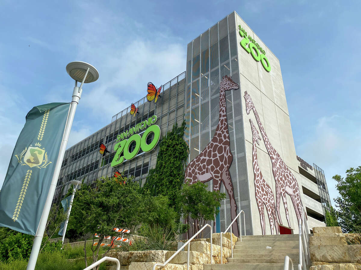 The installation of the massive animal graphics on Tuesday marked the completion of the $11.75 million parking garage. The structure, which provides 612 more parking spaces for the zoo, has been in the making since 2017, when city voters approved a bond to pay for the addition. October 2019 was the first time zoo guests were able to access the much-needed parking spaces, but the just-added decor makes the addition official. 