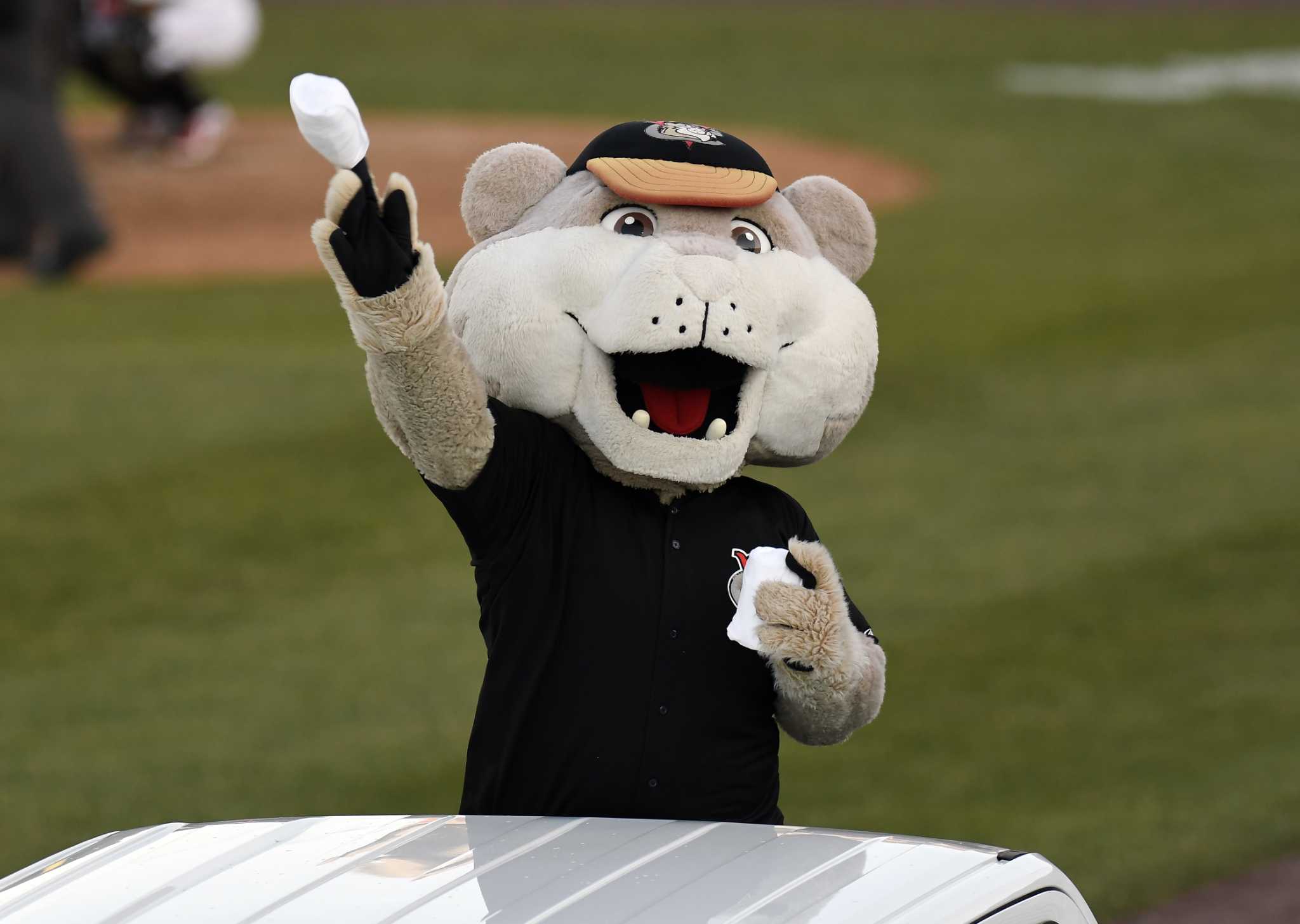 ValleyCats lose to New Jersey in wild ninth inning