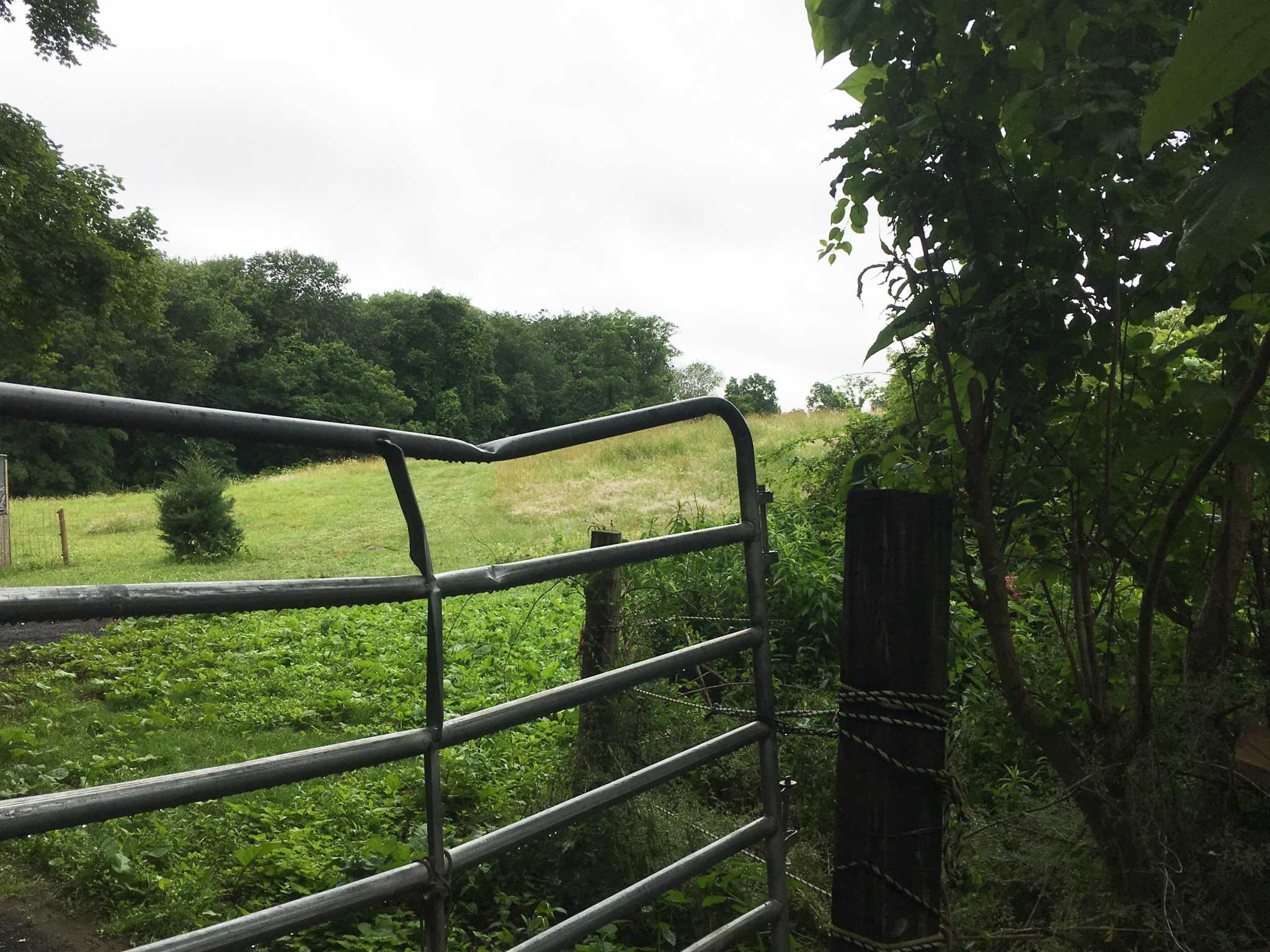 At 110 acres, Easton property becomes largest listed for sale in Fairfield County - Vimarsana News