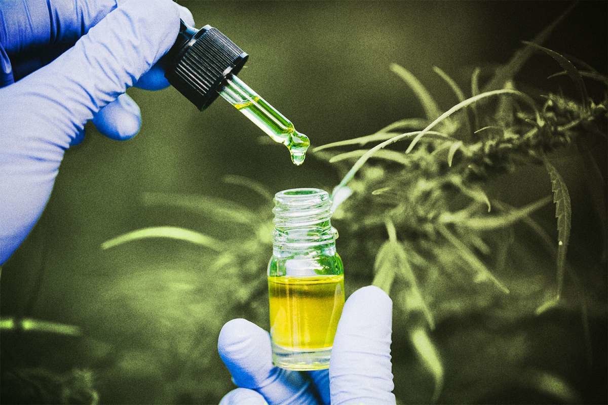 The loopholes of the legality of 'diet weed' - Vimarsana News