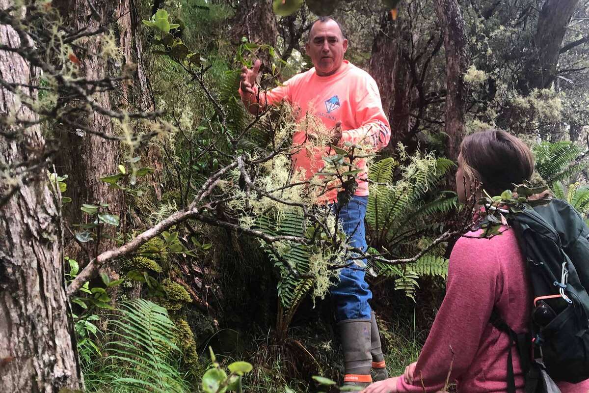 Kimo Duarte with a traveler in Hualalai forest.