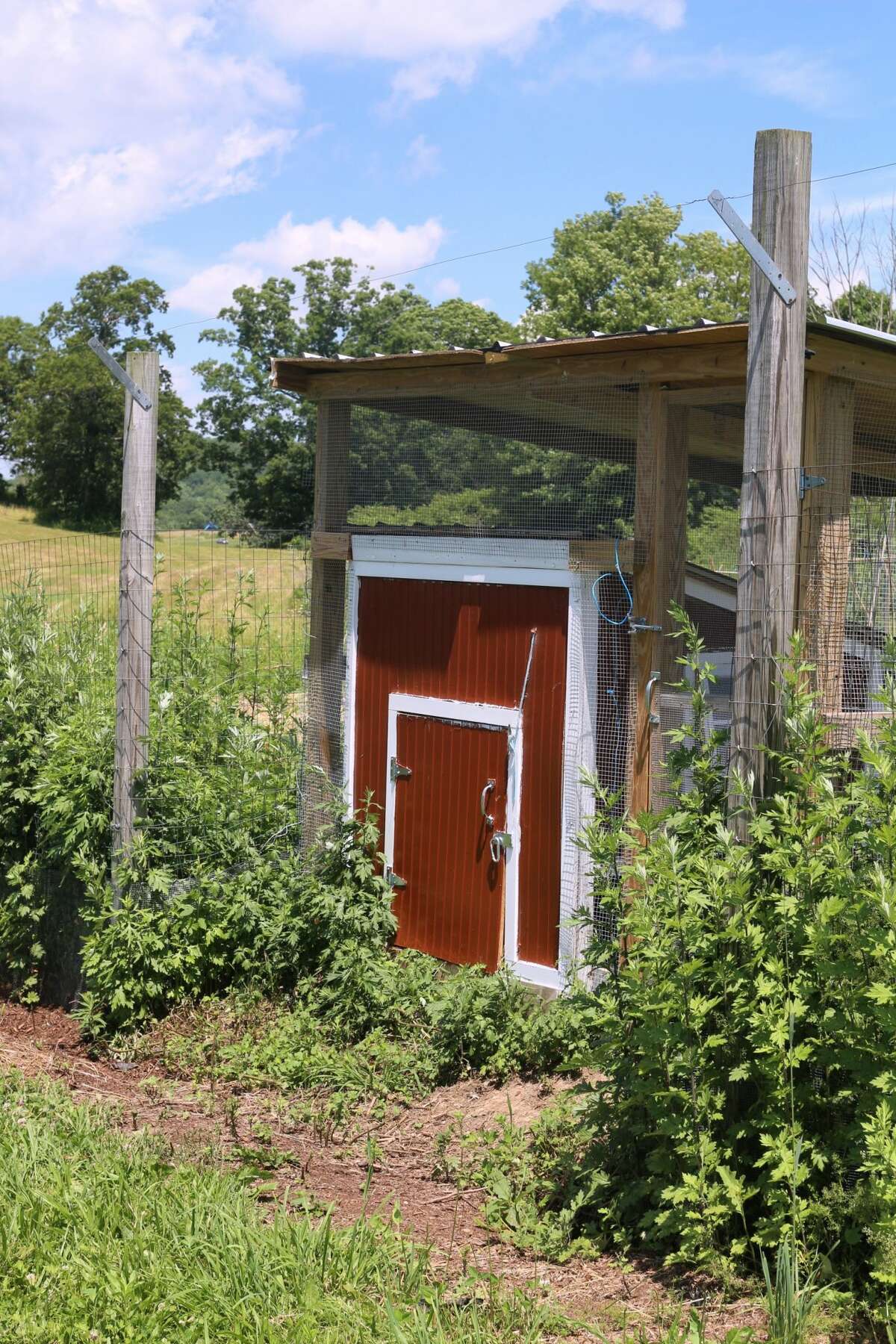 Guilford tiny house Airbnb on a goat farm aims to encourage sustainability