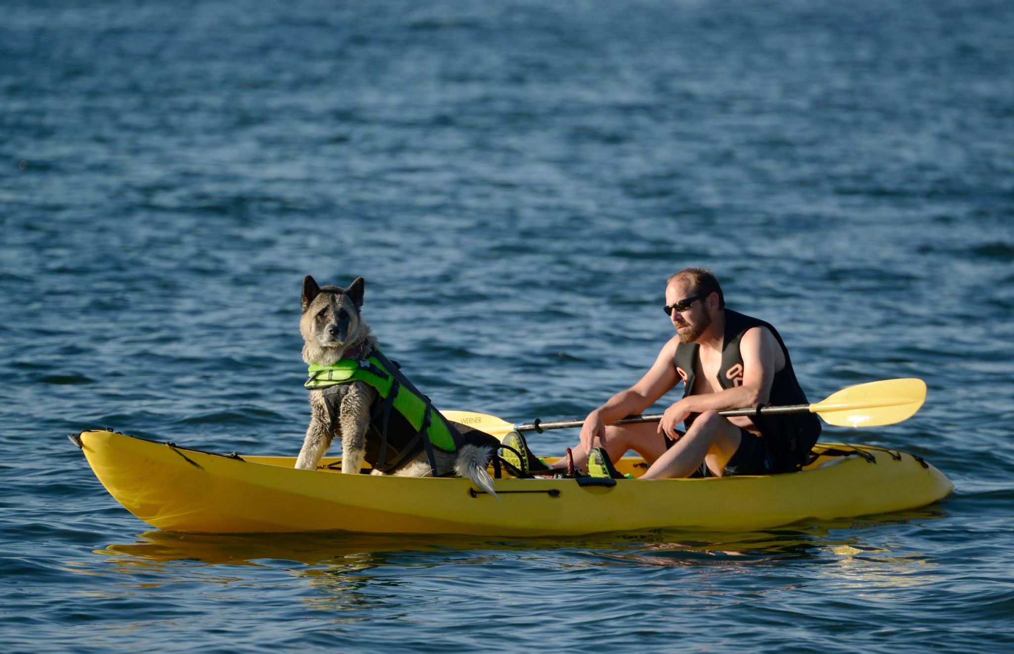 Temperatures in Seattle's record-breaking heat wave to peak Monday