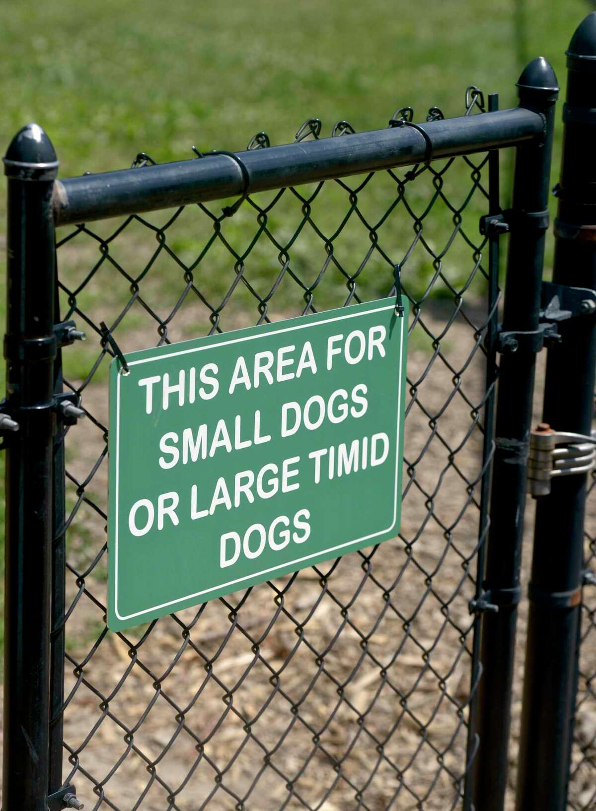 Volunteers rally to build pavilion for New Fairfield Dog Park