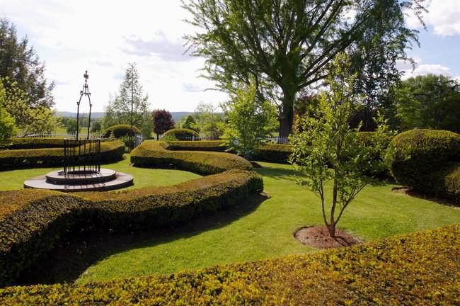 Visit a garden in Sharon this weekend - Vimarsana News