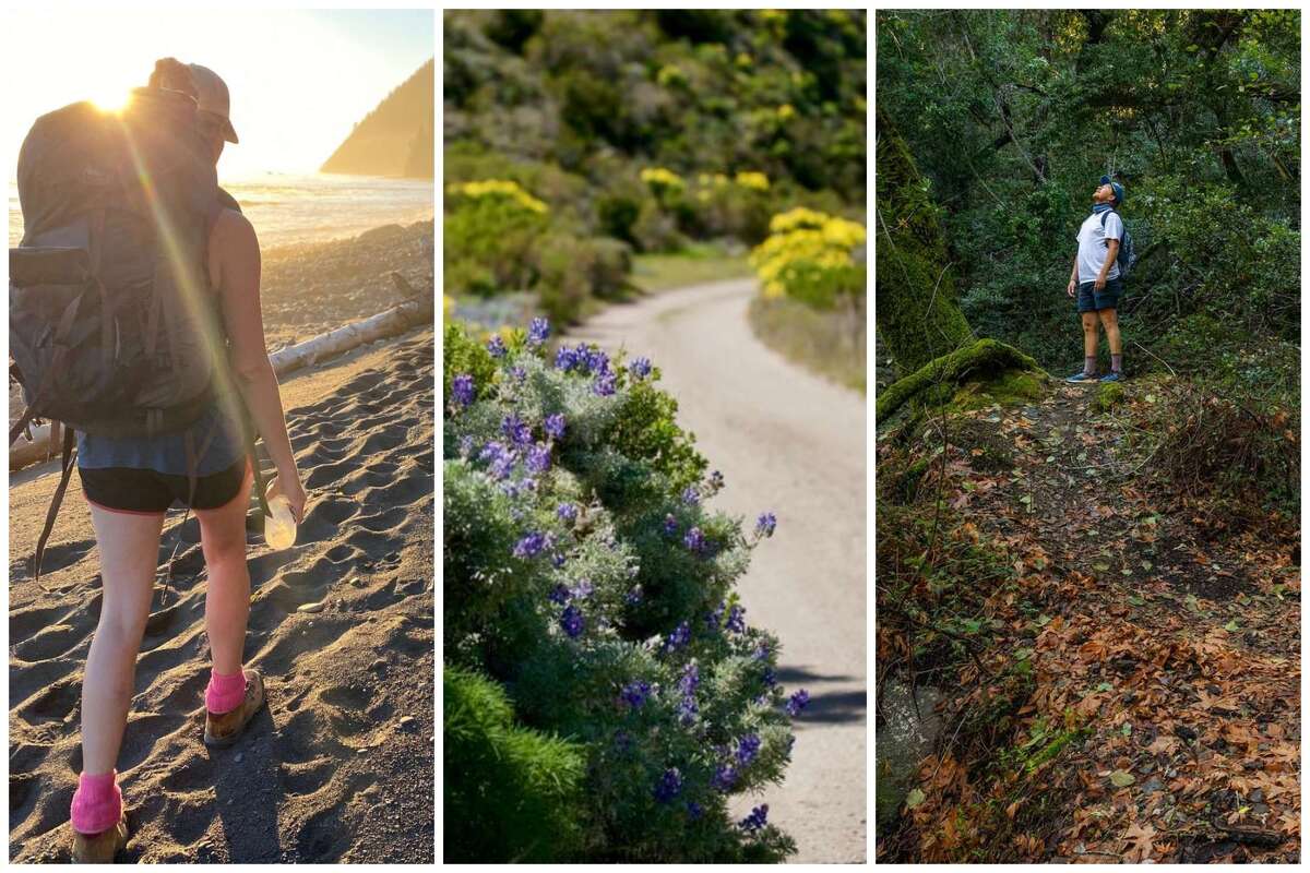 SFGATE staffers took hikes all over California this year, discovering The Lost Coast (left), the Channel Islands (middle) and the newly opened Foothills Park (right). 