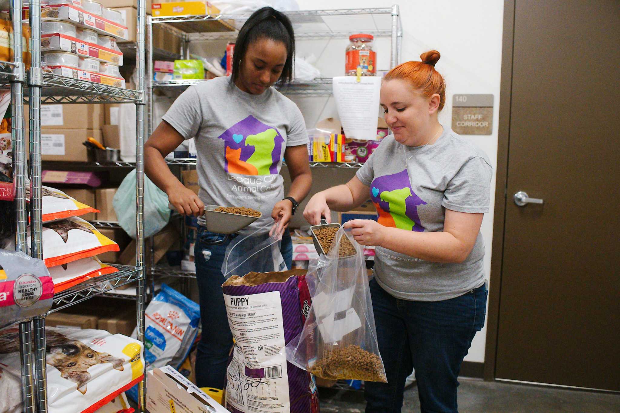 League City Animal Shelter To Stage Pet Food Litter Giveaway League city animal shelter to stage pet food litter giveaway
