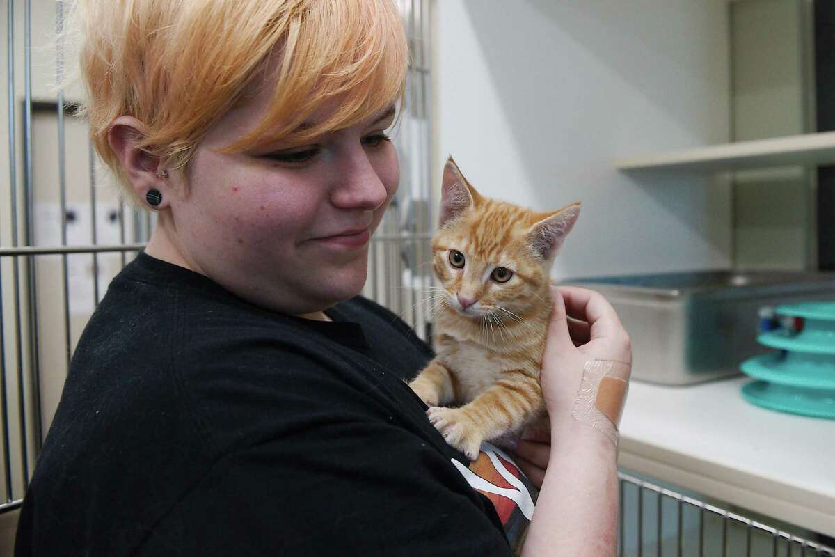 Denish, a kitten at the shelter, enjoys social time with volunteer Hayden Frye in the cat room at the shelter. The shelter is seeking foster caregivers for dogs and cats. To sign up to foster a pet, visit https://bityl.co/7aI3.