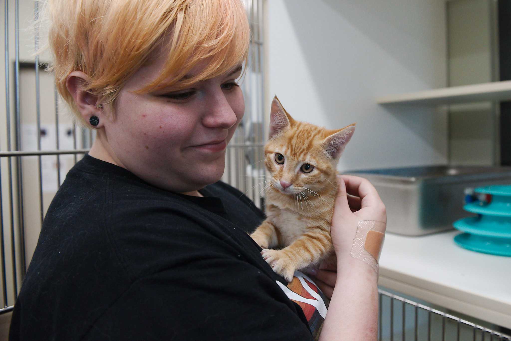 League City s No kill Animal Shelter Recognized For 96 Save Rate League city s no kill animal shelter recognized for 96 save rate