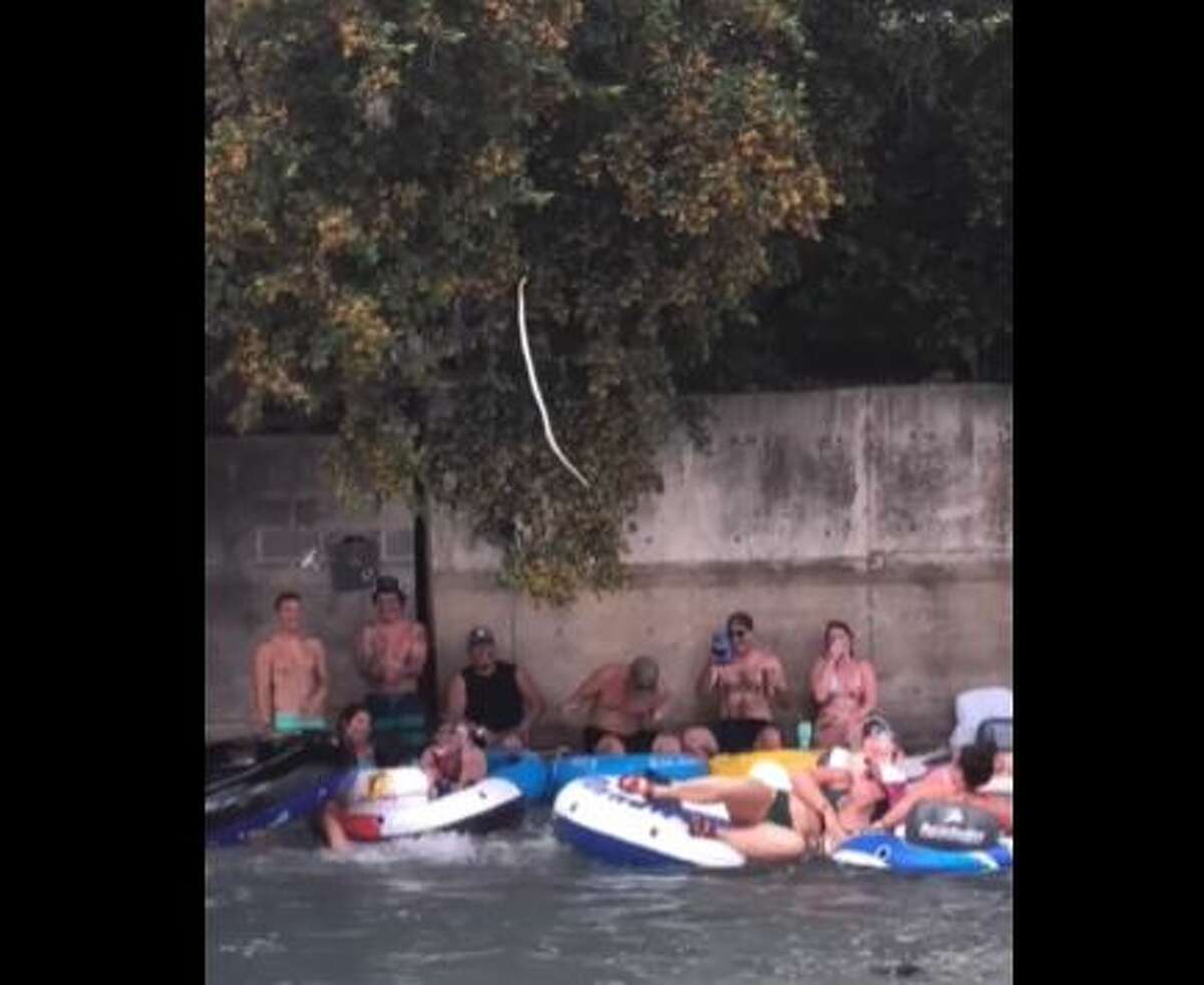 A jokester used a fake snake to scare folks tubing along the Comal River. 