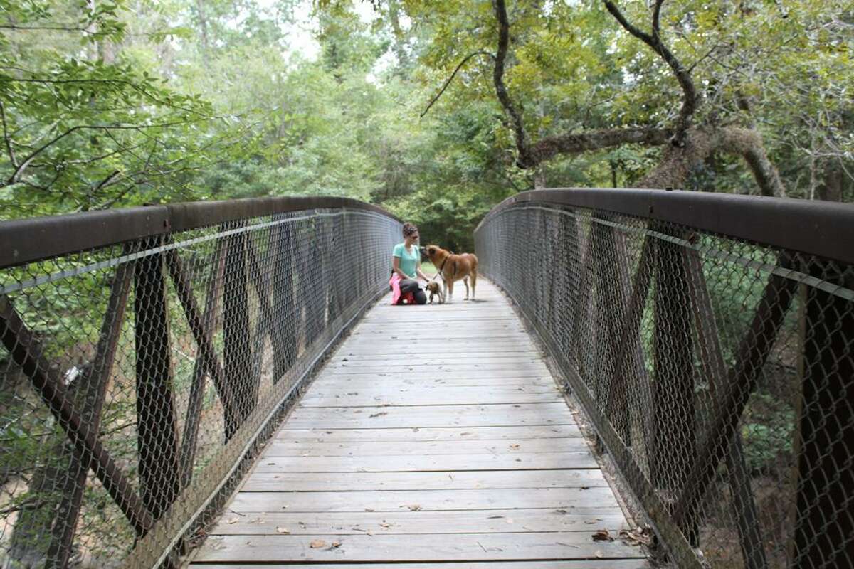 A visitor and her dogs sit on a bridge over Village Creek in Big Thicket National Preserve.