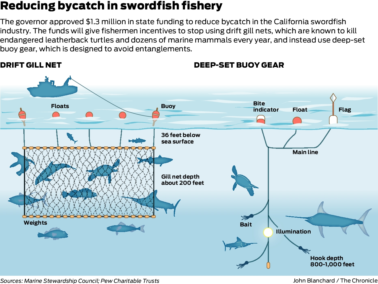 California puts up $1.3 million to phase out swordfish nets that can kill  sea turtles and whales