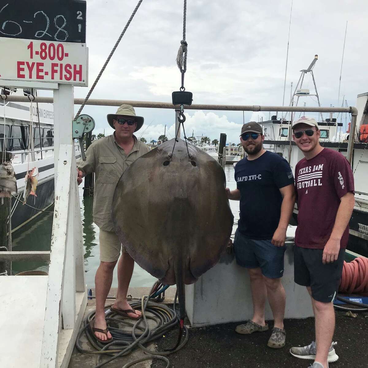 Hunter Schwarz, 25, reeled in a huge 152.5-pound Southern stingray while out on a 4-hour fishing trip with Dolphin Docks Deep Sea Fishing on Monday in Port Aransas. 