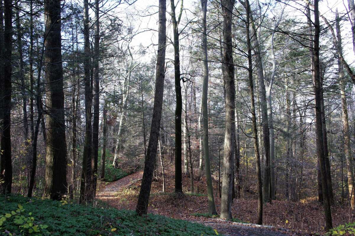 A view of the Baron's South property, which is located between Compo Road South and Imperial Avenue, near downtown Westport, circa 2012.
