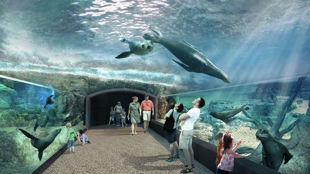 Rendering of the future 40-foot acrylic viewing tunnel, part of the Houston Zoo's upcoming "Galapagos Island" exhibition debuting in 2022 as part of the "Keeping Our World Wild" centennial campaign and master plan.
