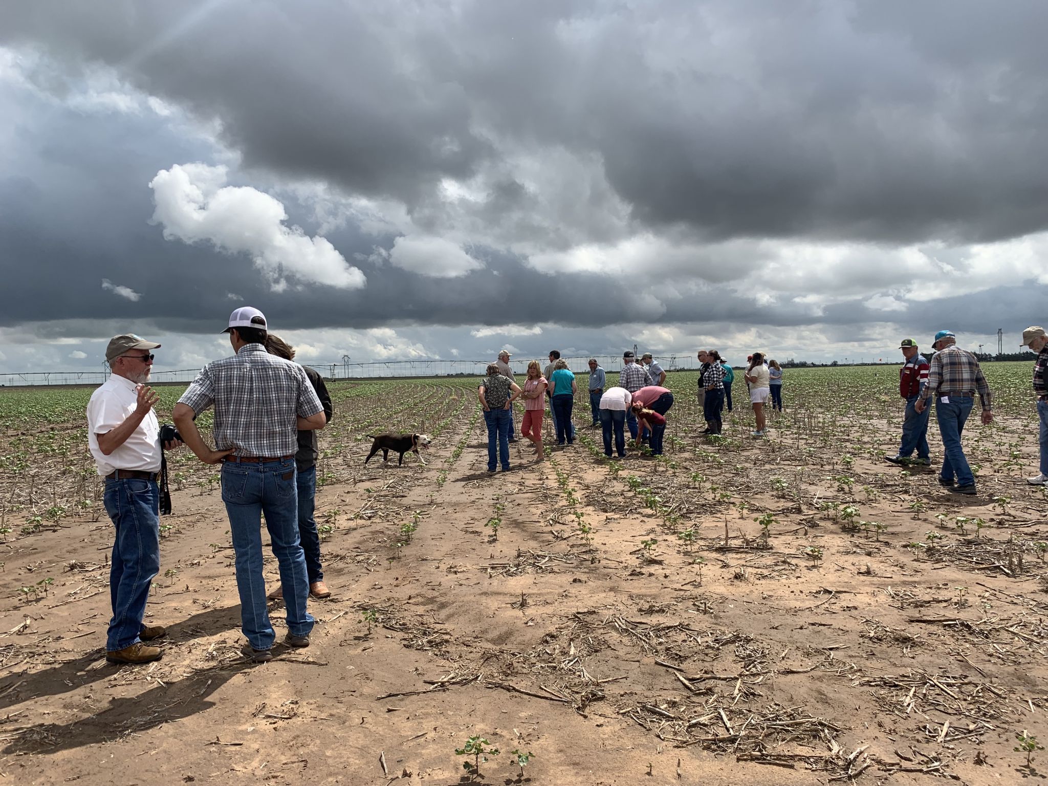 Kress stewardship day discusses Ogallala Aquifer’s depletion