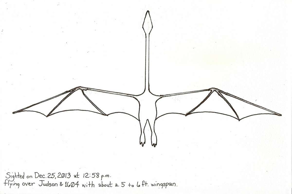 طرحی از اسماعیل ویلی، مردی که متوجه الف "یک پرنده بزرگ" در منطقه سن آنتونیو 