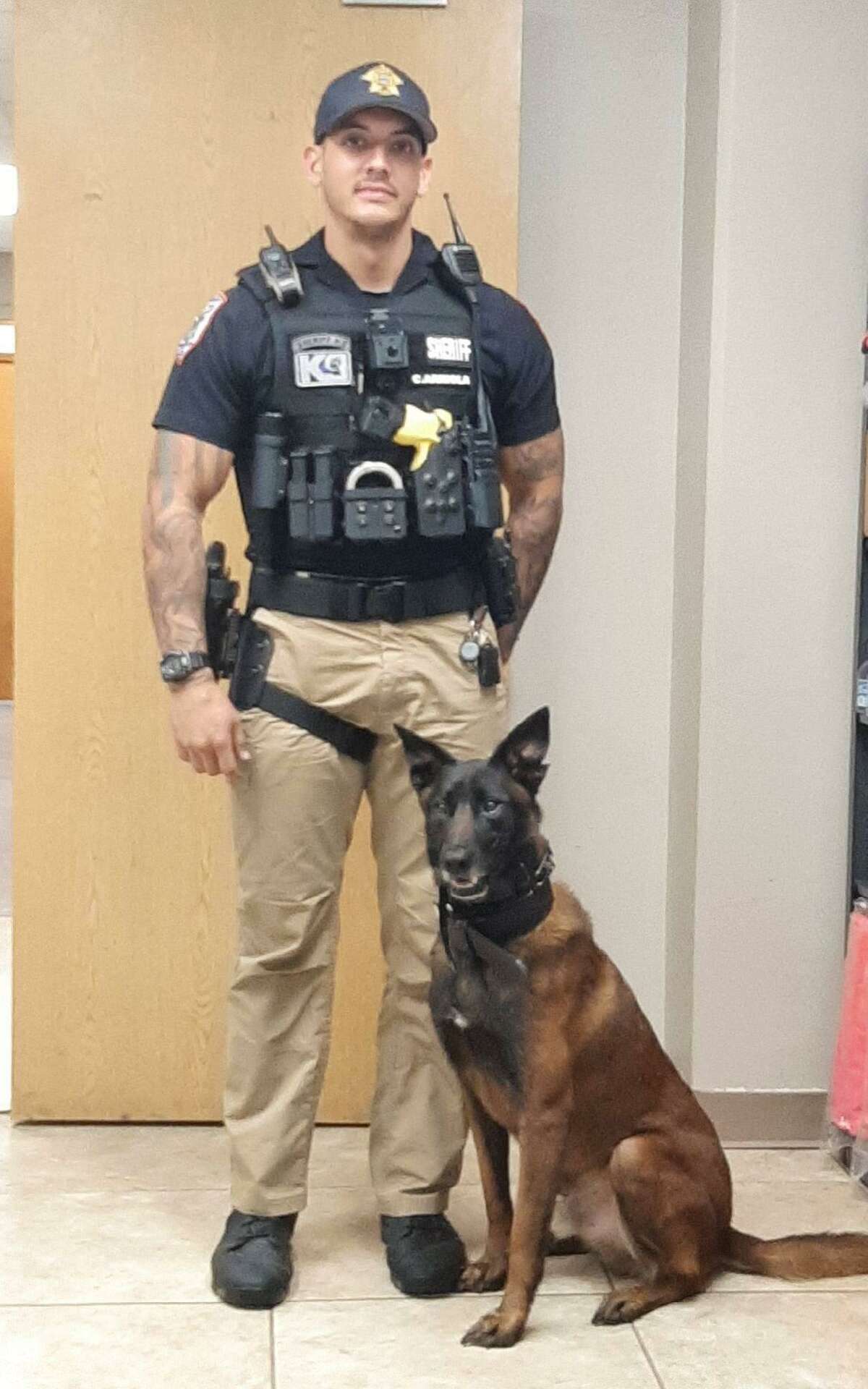 See Orange County's new K9 officers