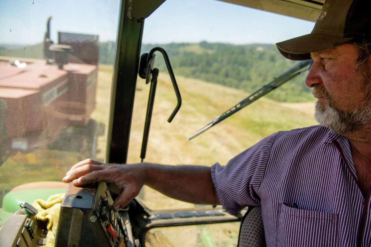 Dairy farmer Steve Perucchi looks back at the hay baler towed behind his tractor as he collects hay from fields cultivated with regenerative farming techniques at Bodega Pastures.