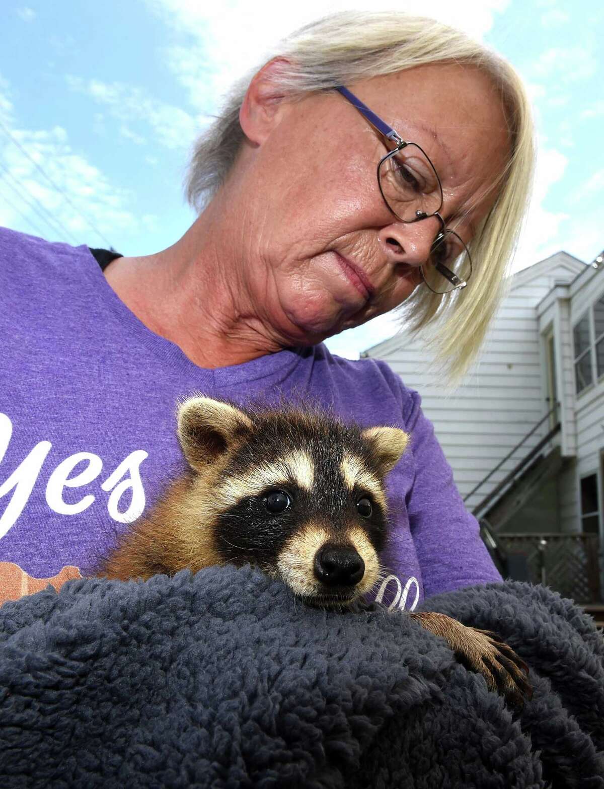 Guilford ‘raccoon guru’ operation in balance amid complaints about