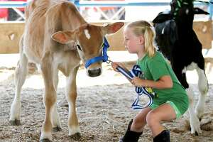 'Everyone’s hungry to get started': Mecosta County Fair is coming soon