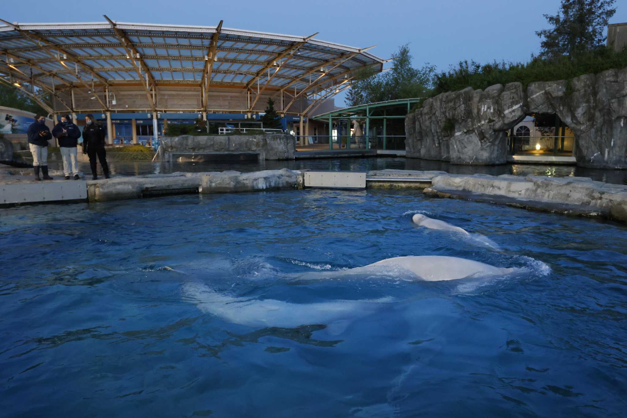 Mystic Aquarium hosts ‘Sips at Sunset’ events on Fridays