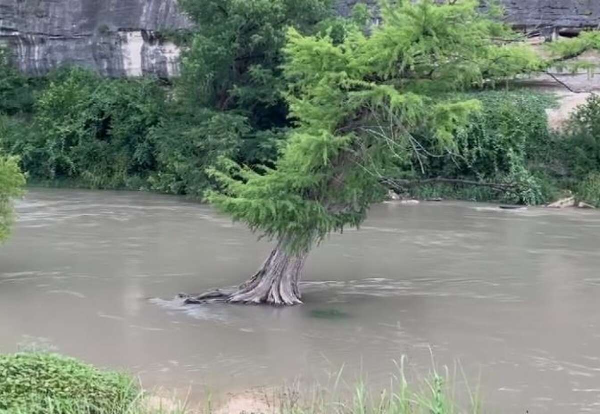 On Facebook Wednesday, the Guadalupe River State Park writes how it does not recommend for individuals to swim or tube at this time. The advisory comes after heavy rainfall caused the river's flow to reach about 700 cubic feet second. 