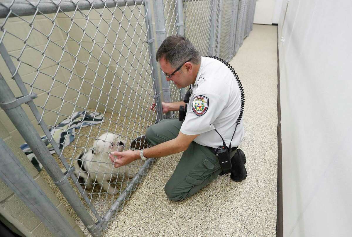 After national outcry over abuse claims, Katy Animal Control made