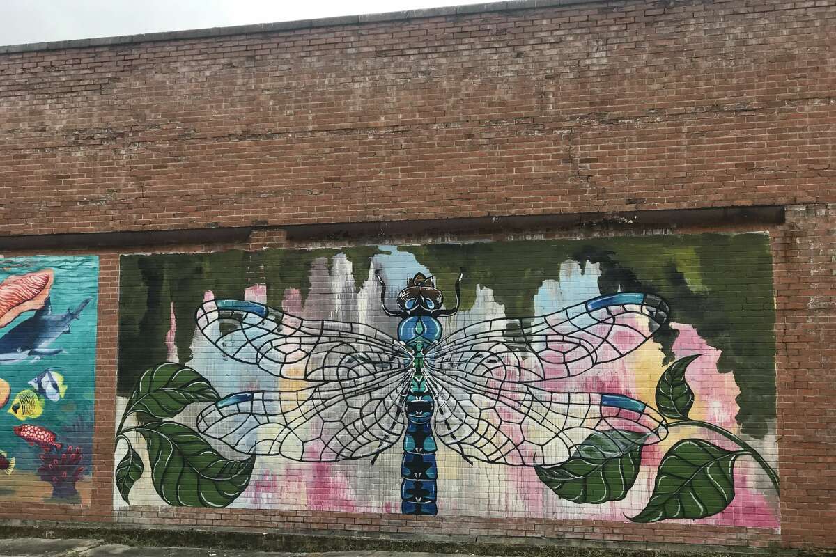 Houston's best murals, places for Instagrammable photos