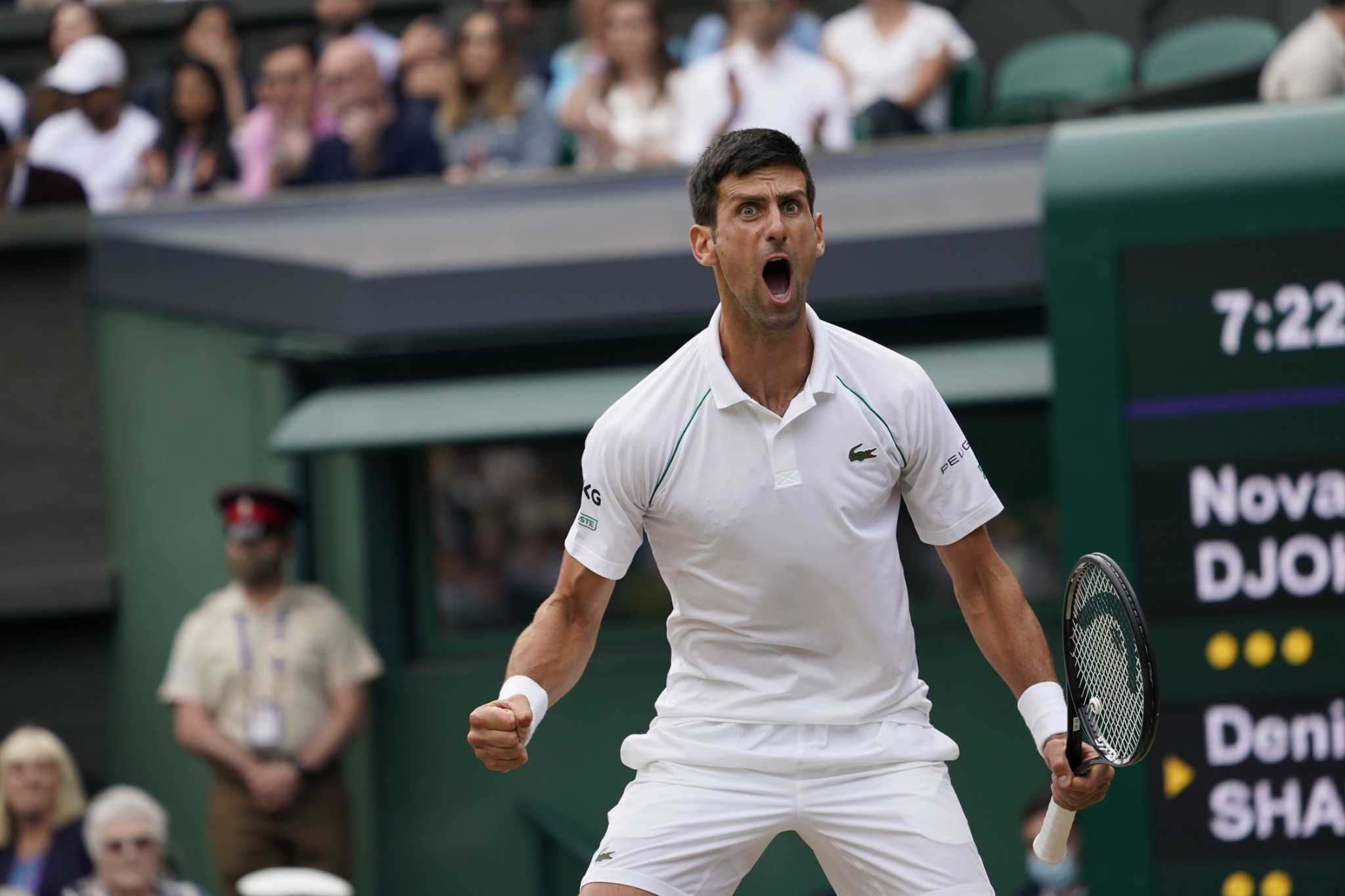 Back In Wimbledon Final, Novak Djokovic To Face Italy's Matteo Berrettini