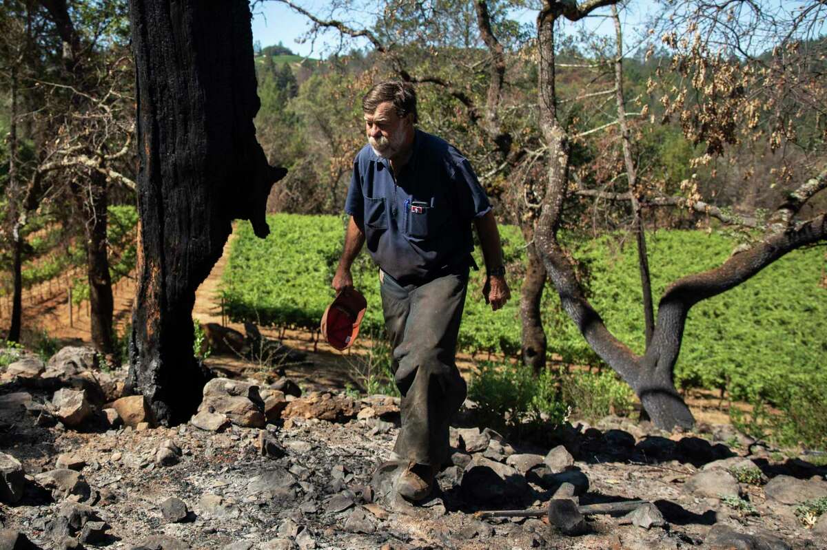 Smith-Madrone Vineyards co-owner Stu Smith is working to create a defensible space by cutting down trees on his St. Helena property.